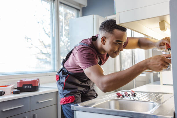 Best Plumbing Inspection Services  in Alpena, MI
